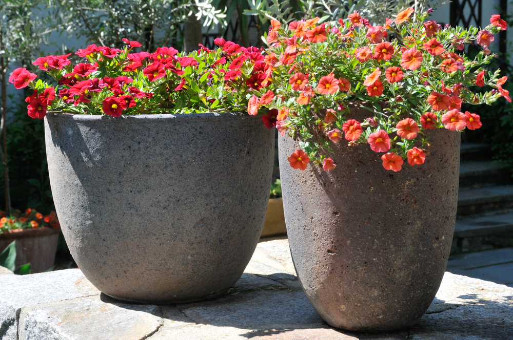 Small space gardening